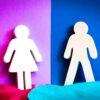The Gender Equality <strong>Is everyone’s Duty</strong>